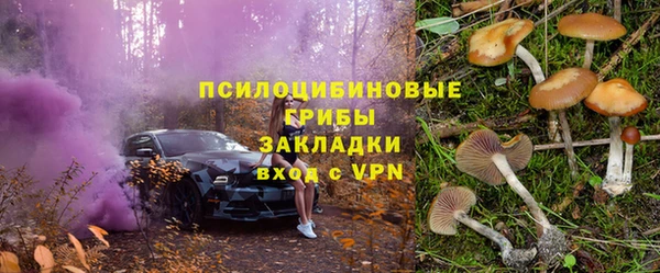 сатива Алексин