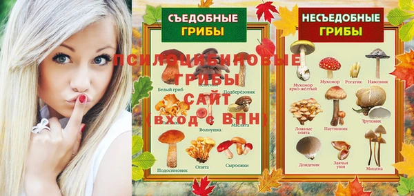 сатива Алексин