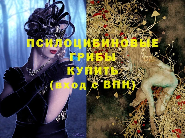 МДПВ Алексеевка