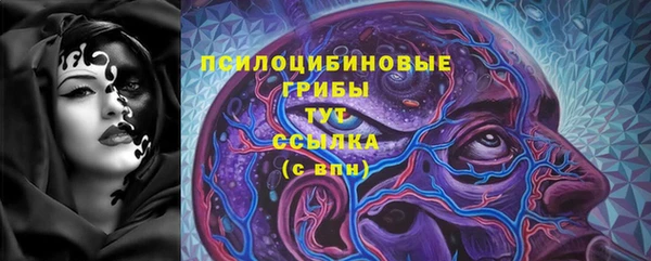МДПВ Алексеевка