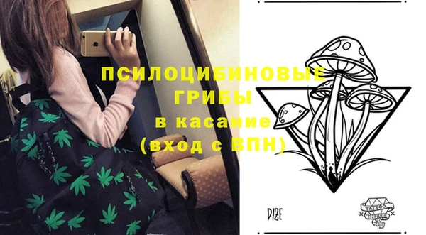 МДПВ Алексеевка