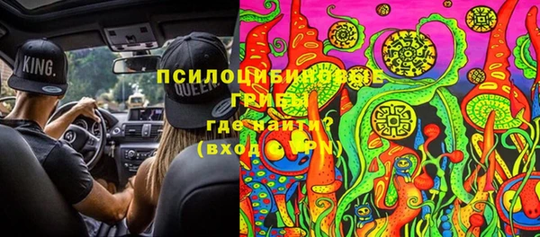 сатива Алексин