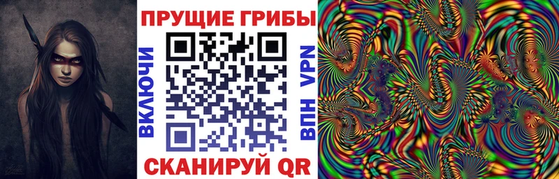 Галлюциногенные грибы GOLDEN TEACHER  Грязовец 